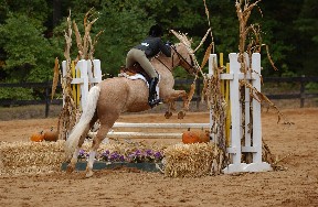 Pony Jumping